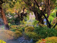 -Chom Cafe and Restaurant