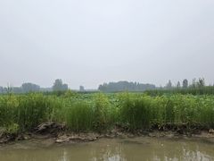 -白洋淀景区