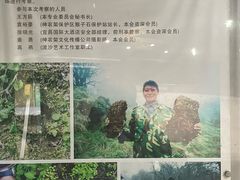 -天燕原始生态旅游区-天门垭景区