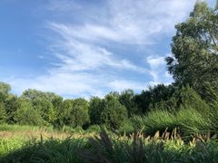 -东郊湿地公园