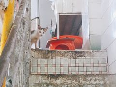 -凌舍好烧鹅(中山路店)