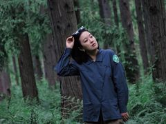 -黄海国家森林公园