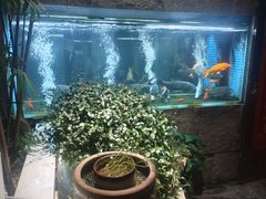 -又见炊烟私房菜(敬亭路店)