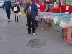-哈尔滨道外花鸟鱼市场