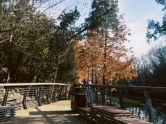 -白水寺森林公园