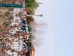 -大兴滨河森林公园