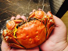 -黄记大闸蟹专卖店·活蟹·醉蟹