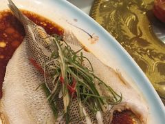 -新侨小馆(东直门北小街店)