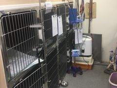 -爱诺耐芙动物医院(万博店)