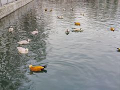 -宗角禄康公园