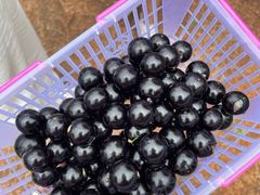 -侯臣咖啡文化村