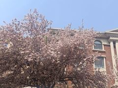 -天津五大道文化旅游区