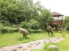 -自贡恐龙博物馆