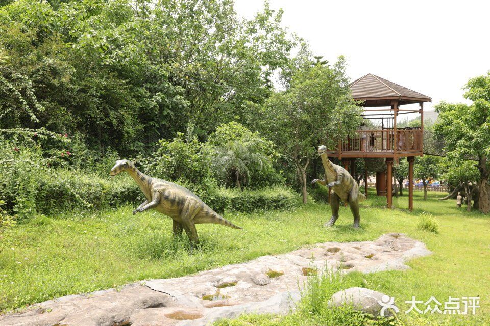 自贡恐龙博物馆图片