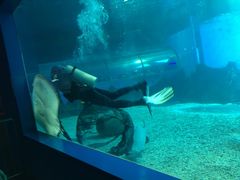 -北戴河圣蓝海洋公园