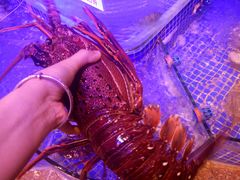 -青蓬蒸汽海鲜·深圳老字号·团建聚会(壹方城店)