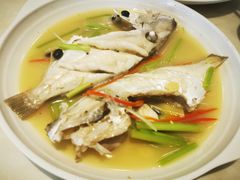 迪仔鱼-长平老姿娘夜粥(平东一街店)