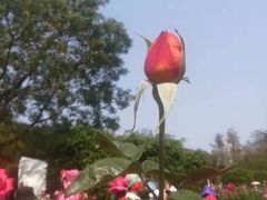 -人民公园(罗湖区)