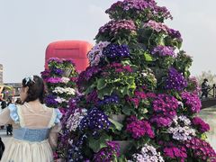 -荷兰花海