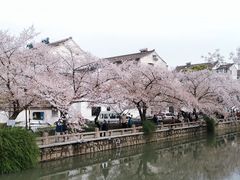 -常熟方塔园