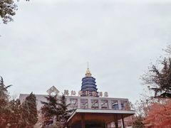 -听松楼·花园酒店·自助餐厅(红梅公园店)