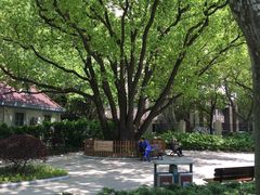 -徐家汇源景区-衡山公园