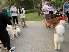 -景田北六街公园宠物主题园