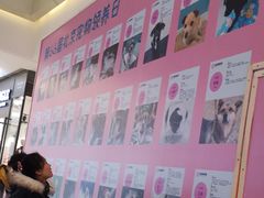 -北京清河万象汇