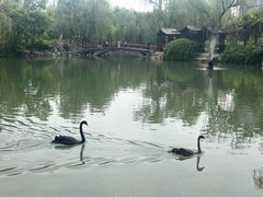 -西苑公园