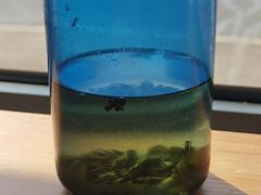 -王大昌茶庄(鼓楼街店)