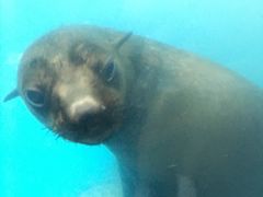 -成都浩海立方海洋公园