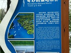 -长兴太湖图影湿地文化园