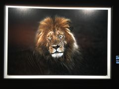 -罗红摄影艺术馆