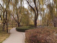 -玲珑塔公园