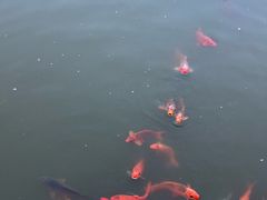 -春晖园度假酒店温泉