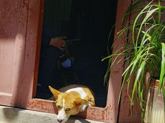 -恩阳古镇