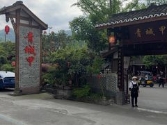 -青城甲(青城山店)