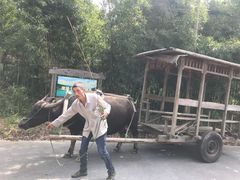 -杭州双溪漂流景区