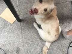 -乐乐餐厅(湘子庙街店)