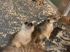 -常州海昌海洋探索馆