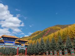 -塞罕坝国家级自然保护区