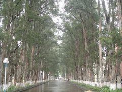 -广东外语外贸大学(白云山校区)