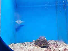 -锦艺城海洋馆