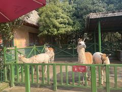 -杭州野生动物世界