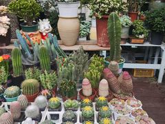 -三圣花乡旅游区