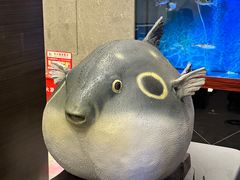 -肆月河豚·新淮扬(金融街店)
