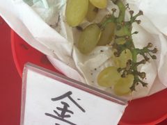 -马陆小张葡萄园农家乐