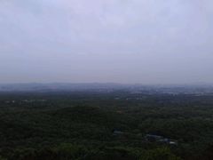 -紫金山天文台