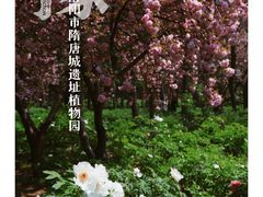 -洛阳市隋唐城遗址植物园