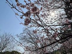 -苏州上方山国家森林公园